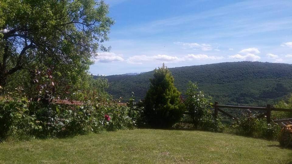 Notti Magiche Bed and Breakfast Castelvecchio Calvisio Exterior foto